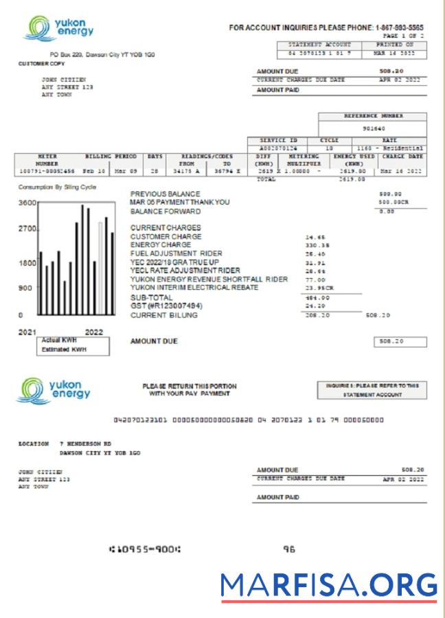 Realistic Canada Yukon Energy utility bill download for verification